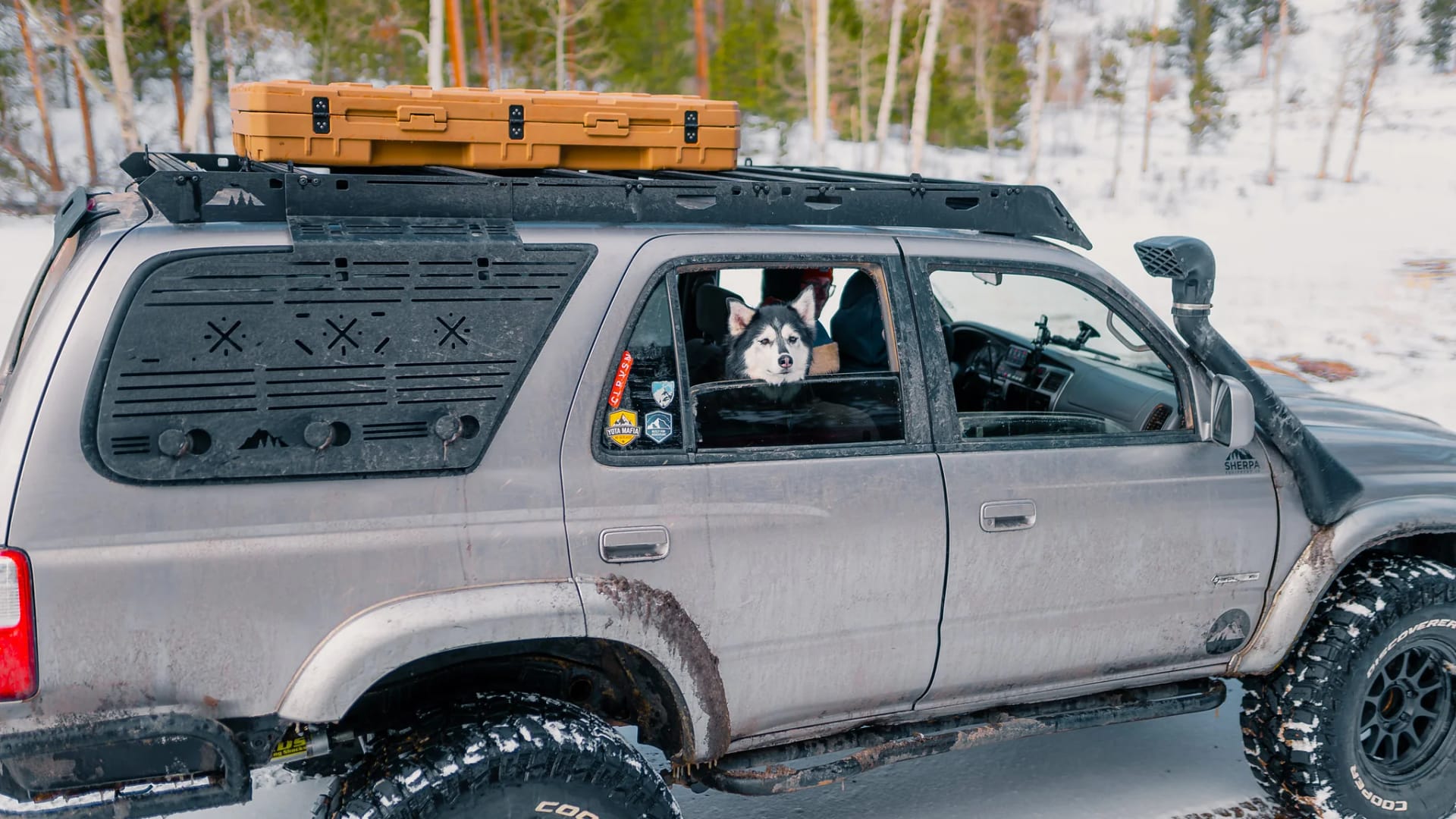 Rackmag: Hochwertige Dachträger Universal für Fahrräder, Skier und Gepäck