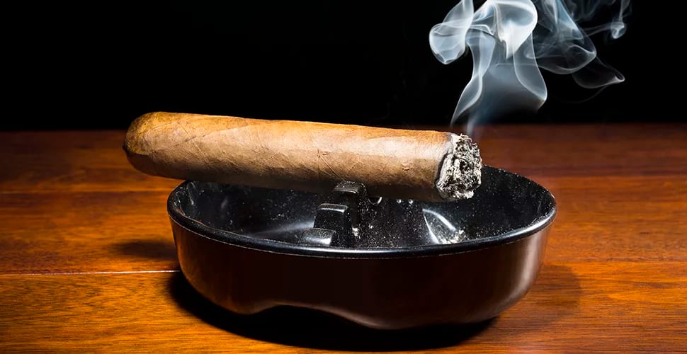 Die Kunst der Zigarrenlagerung: Stilvolle Humidore bei C-Cigars