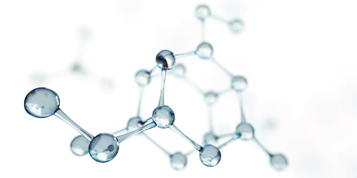 NAD+: Der neue Star der Anti-Aging-Forschung und Zellverjüngung