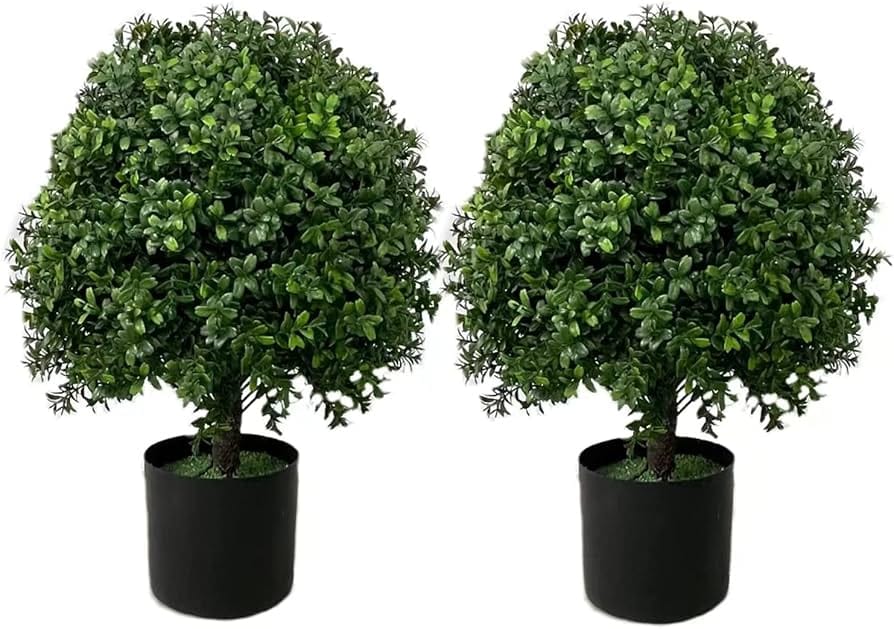 Kugelbäume für jeden Garten: Wie Venovi seit 1860 Bäume mit Liebe und Wissen Züchtet