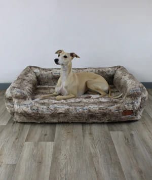 Der ultimative Schlafplatz für Hunde: Unser AirleXX