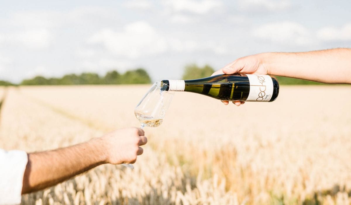 Weinversand für Genießer: So finden Sie die besten Weine
