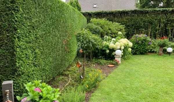 Professioneller Gartenbau Ibbenbüren: Qualität und Zuverlässigkeit
