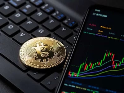 Krypto News berichtet über den Anstieg der Einführung von Kryptowährungen in der lokalen Verwaltung