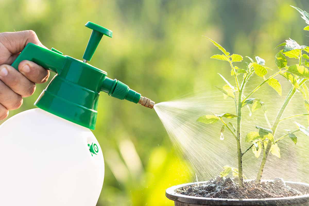 Hydrokultur optimieren: Wie Metrop-Dünger maximale Erträge garantiert