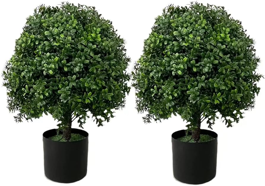 Kugelbäume für jeden Garten: Wie Venovi seit 1860 Bäume mit Liebe und Wissen Züchtet