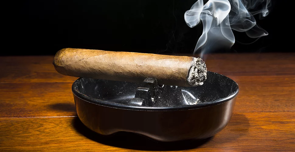 Die Kunst der Zigarrenlagerung: Stilvolle Humidore bei C-Cigars