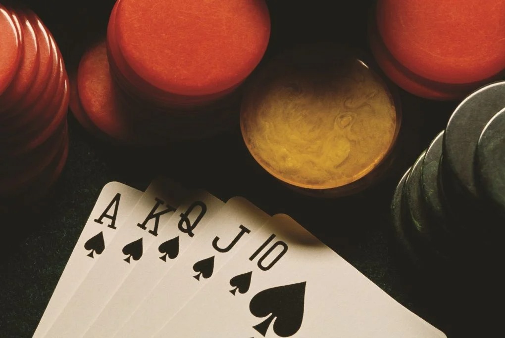 Double Down Delights: Das Casino-Erlebnis enthüllt