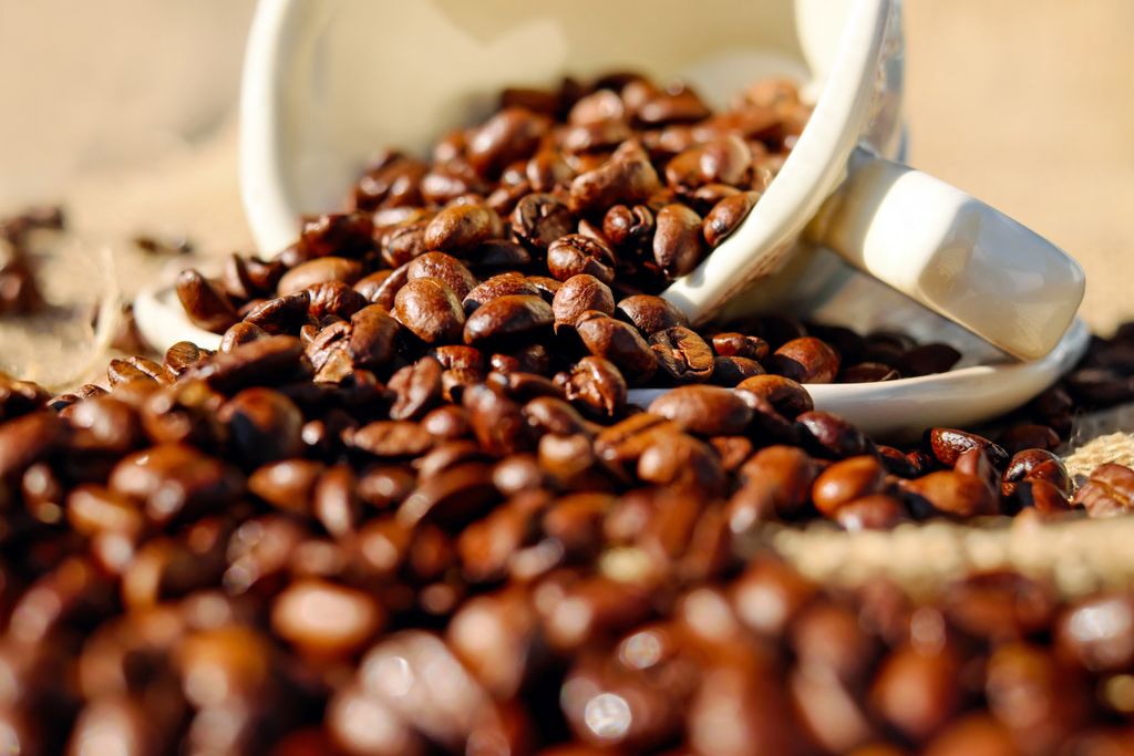 Kolumbianischer Kaffee: Ein Vorgeschmack südamerikanischer Exzellenz