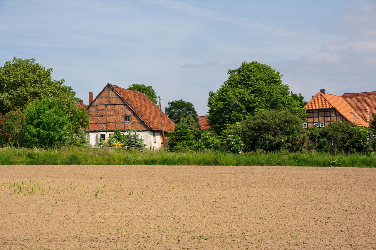 Wie ein Pachtvertrag qm preis für wiesengrundstück Ihre Einnahmen steigern kann
