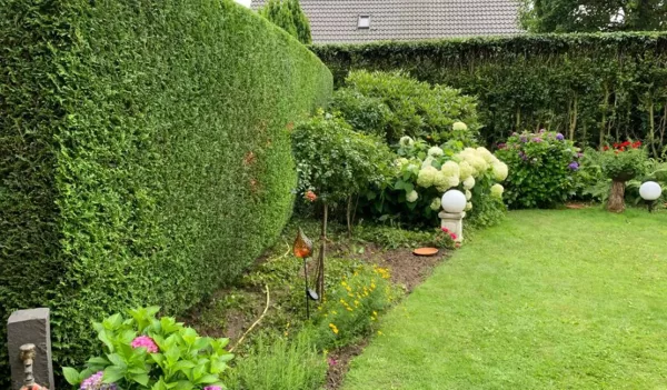 Professioneller Gartenbau Ibbenbüren: Qualität und Zuverlässigkeit