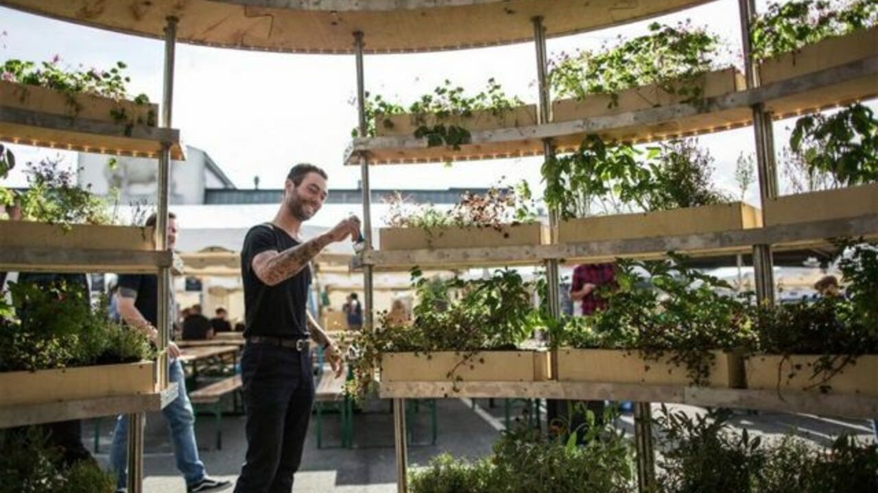 Nachhaltiger Indoor-Garten: Umweltfreundliche Anbaumethoden für Zuhause