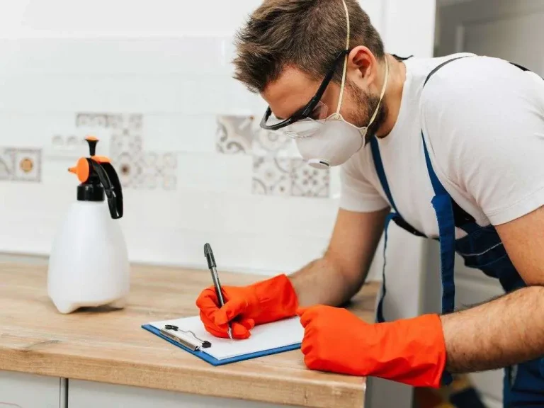 Do-I-Need-to-Hire-an-NYC-Bed-Bug-Exterminator