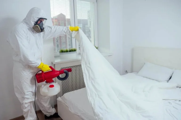bed-bugs-exterminator-2